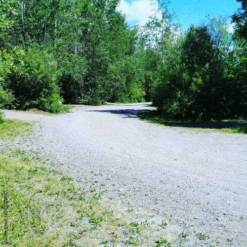 path in park