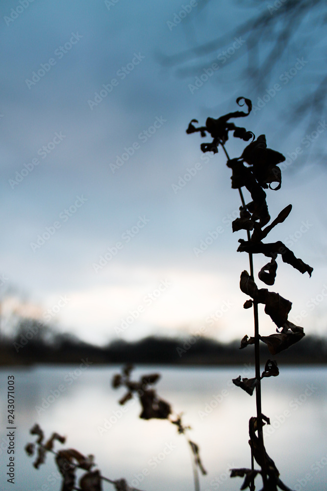 Obraz premium Silhouette Frozen Sunset Pond