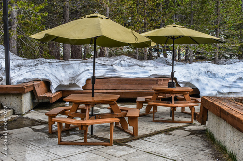 Outdoors forest cafe deck with snow on the background in Sequoia National Park, USA - high altitude © Natalia Leen