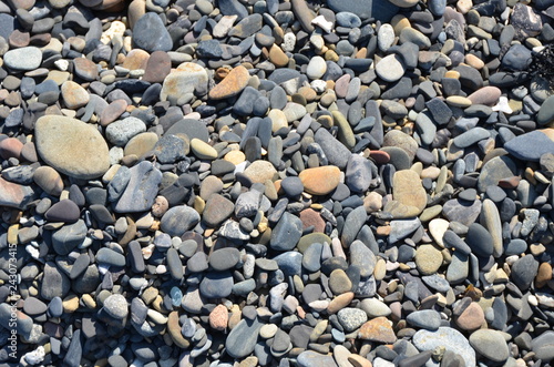 Round stones that appeared at low tide