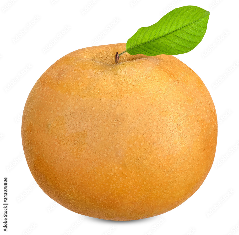 Snow pear or Fengsui pear isolated clipping path Snow pear or Fengsui pear isolated clipping path