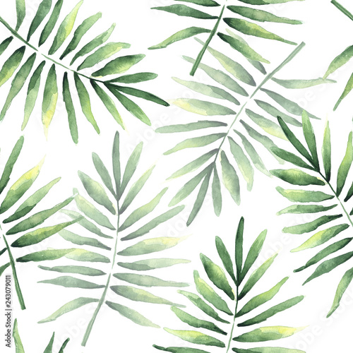 Seamless pattern of tropical coconut leaves
