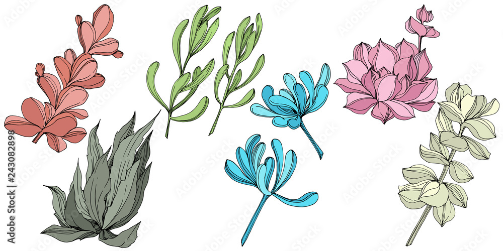 Vector Succulent floral botanical flower. Engraved ink art. Isolated succulents illustration element.