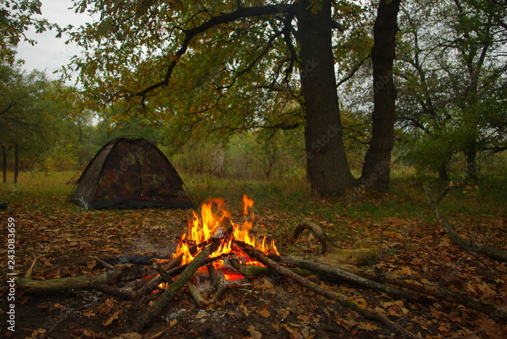 Campfire and tourist tent in the oak forest Campfire and tourist tent in the oak forest