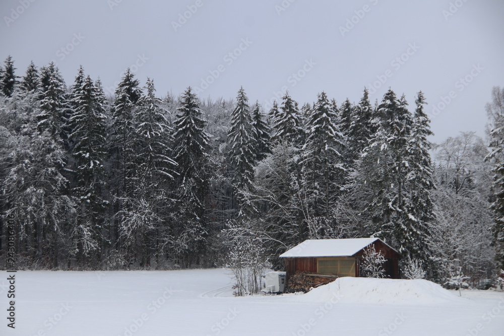 Winter Winter