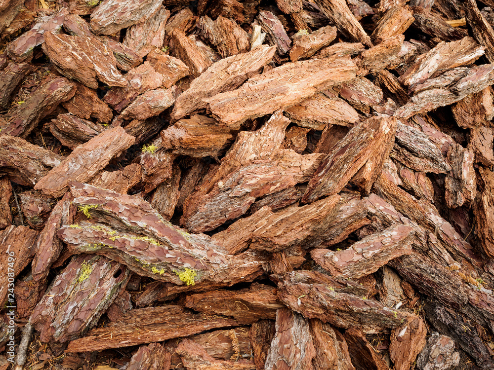 Pile of bark fallen from sequoia trees Pile of bark fallen from sequoia trees