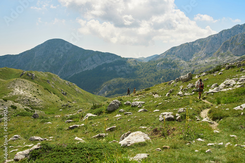 Paesaggio montano con rocce e erba verde