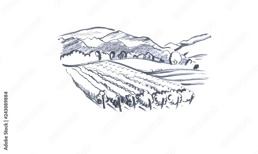 Mountains landscape sketch