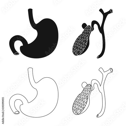 Isolated object of body and human icon. Set of body and medical vector icon for stock.