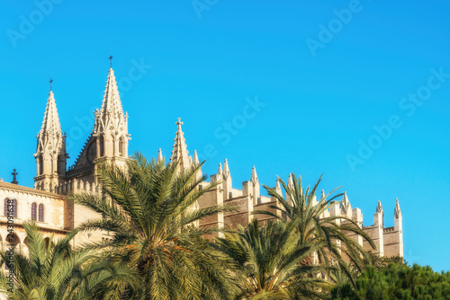 Ancient Cathedral in Palma de Mallorca, Balearic islands, Spain