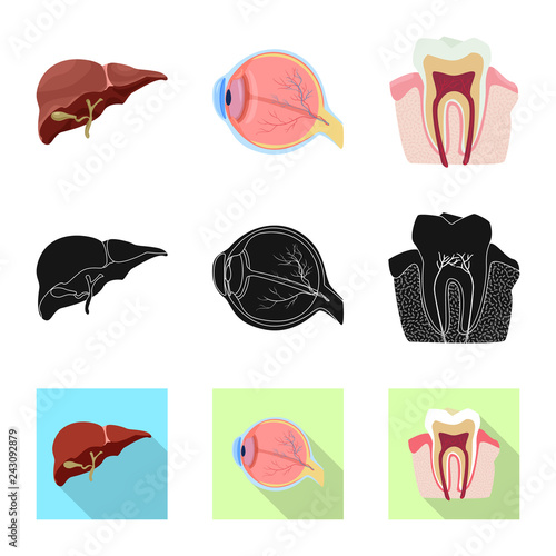 Vector design of body and human logo. Collection of body and medical vector icon for stock.