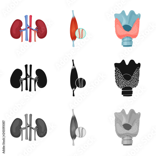 Isolated object of body and human logo. Set of body and medical stock vector illustration.