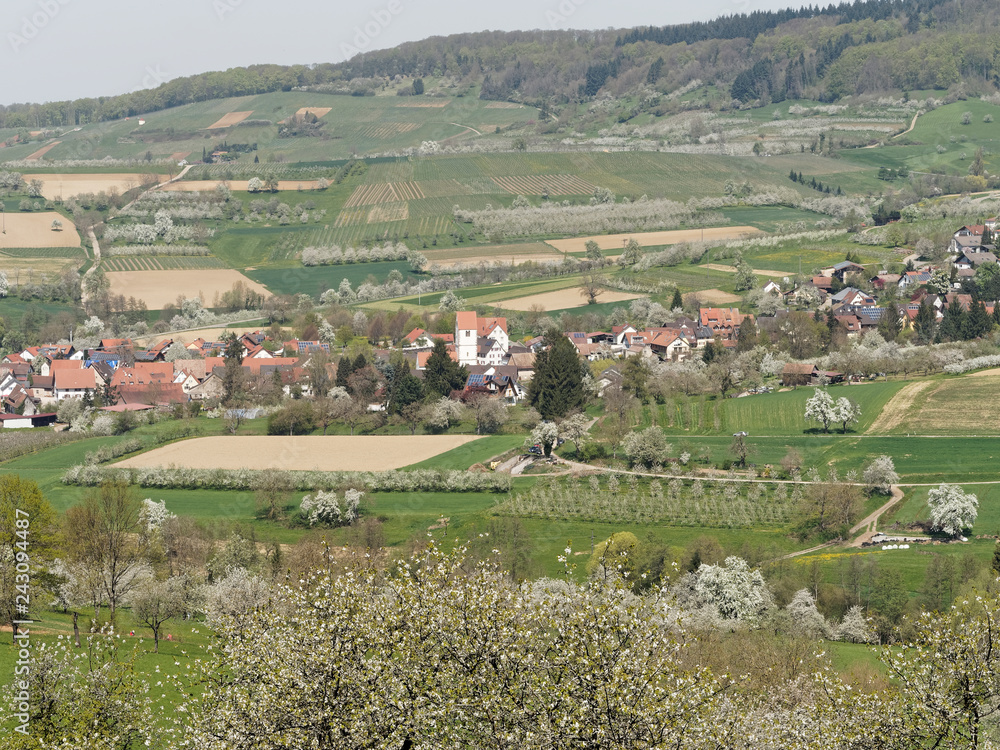 Schwarzwald. Blick auf die Ortsteile Obereggenen und das blühende Eggenertal im Markgräflerland. Landkreis Lörrach Baden-Württemberg.