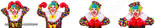 Funny male clown with boxing gloves 