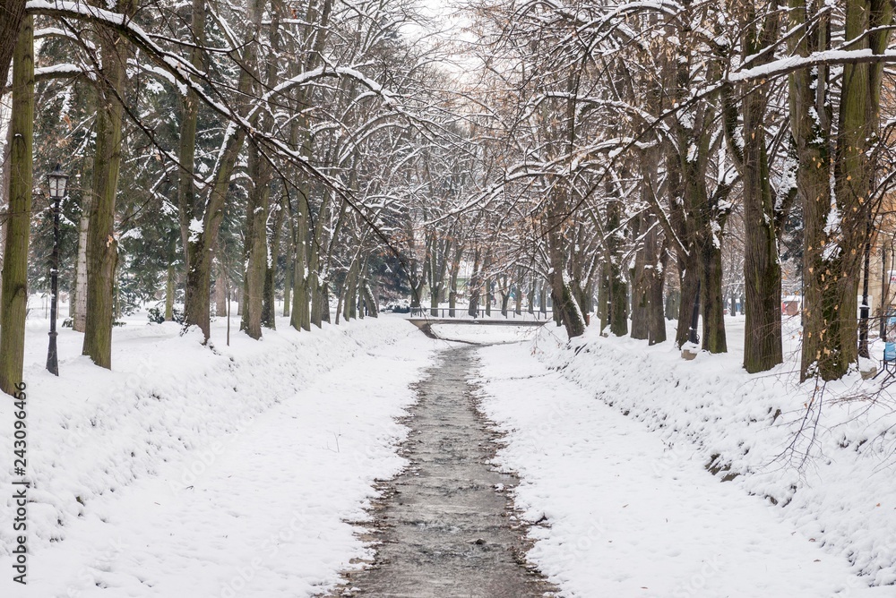 Naklejka premium vrnjacka banja zimowy krajobraz.