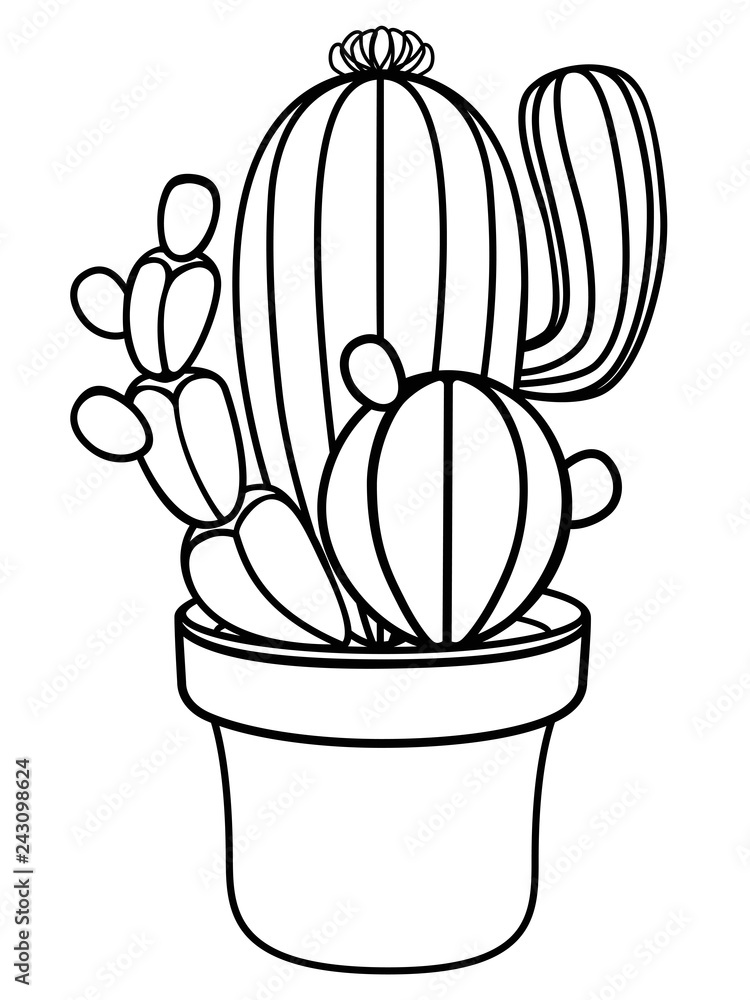 Cacti in a flower pot. Home plant - cactus. Cacti linear picture for coloring. Outline. Cactus blooming with spikes.