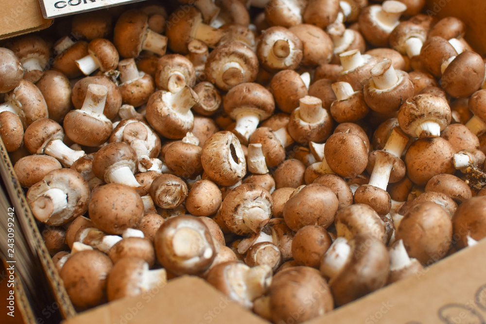Tiny brown mushroom in bulk at the market in San Francisco in USA
