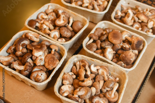 Tiny brown mushrooms in a paper container in the market in San Francisco in USA.