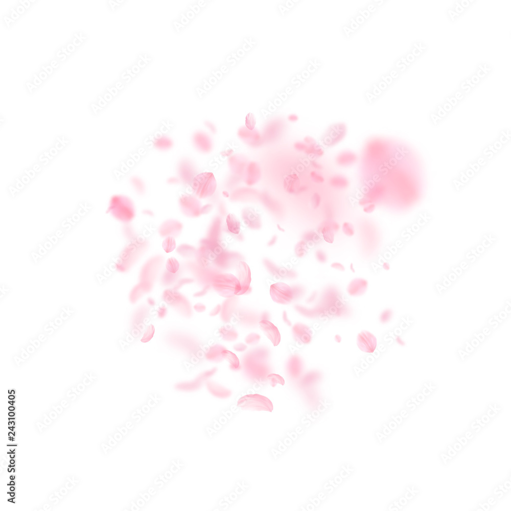 Sakura petals falling down. Romantic pink flowers Sakura petals falling down. Romantic pink flowers