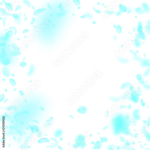 Turquoise flower petals falling down. Remarkable r