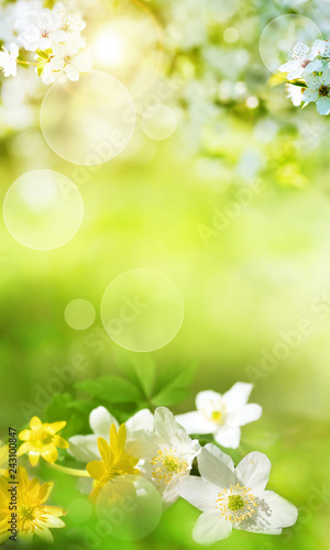 Spring scenery with smal flowers