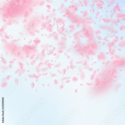Sakura petals falling down. Romantic pink flowers 
