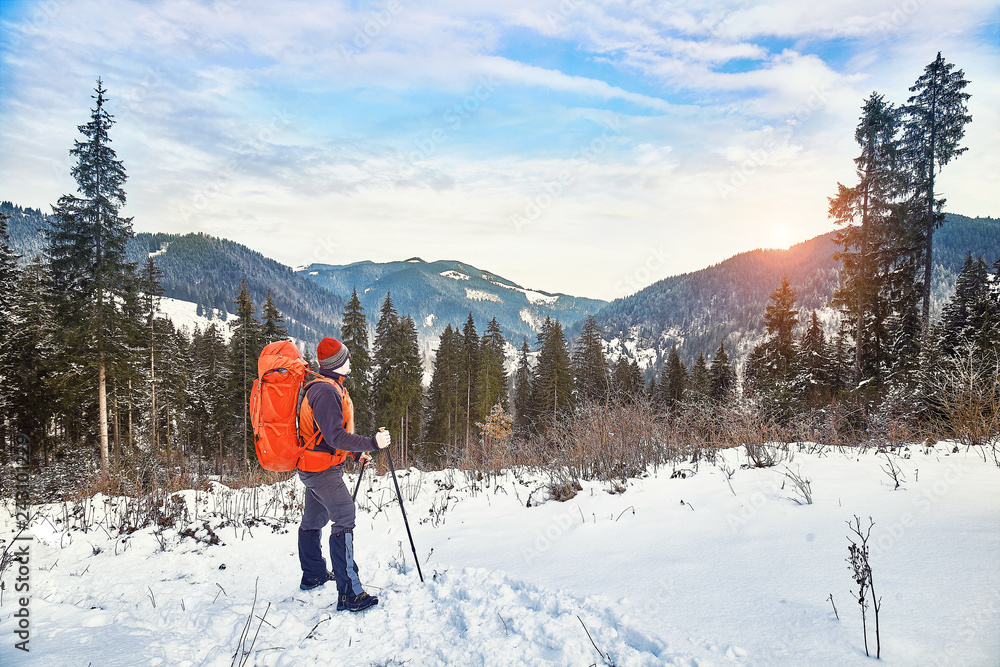 snow covered hiking trail in winter forest