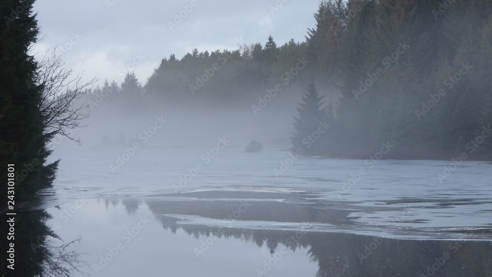 Fototapeta premium misty winter bay