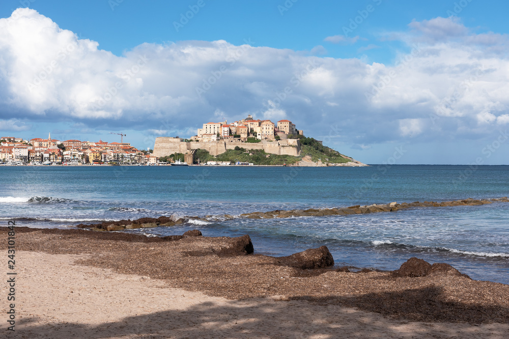 View of the historic city of Calvi from a sandy beach with sea grass, Corsica, France