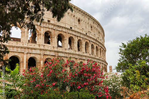 The Flavian amphitheatre with flowers- the Colosseum, Rome, Italy