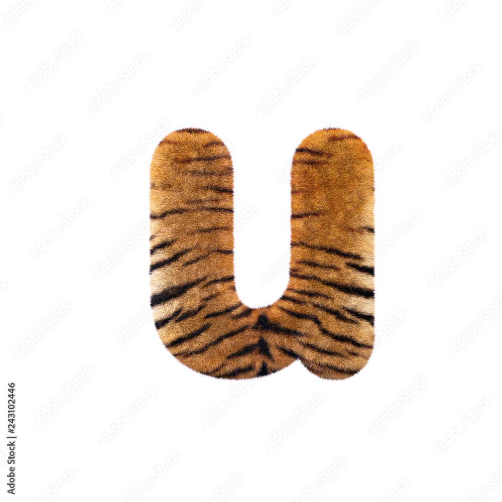Tiger letter U - Small 3d Feline fur font - Suitable for Safari, Wildlife or big felines related subjects Tiger letter U - Small 3d Feline fur font - Suitable for Safari, Wildlife or big felines related subjects