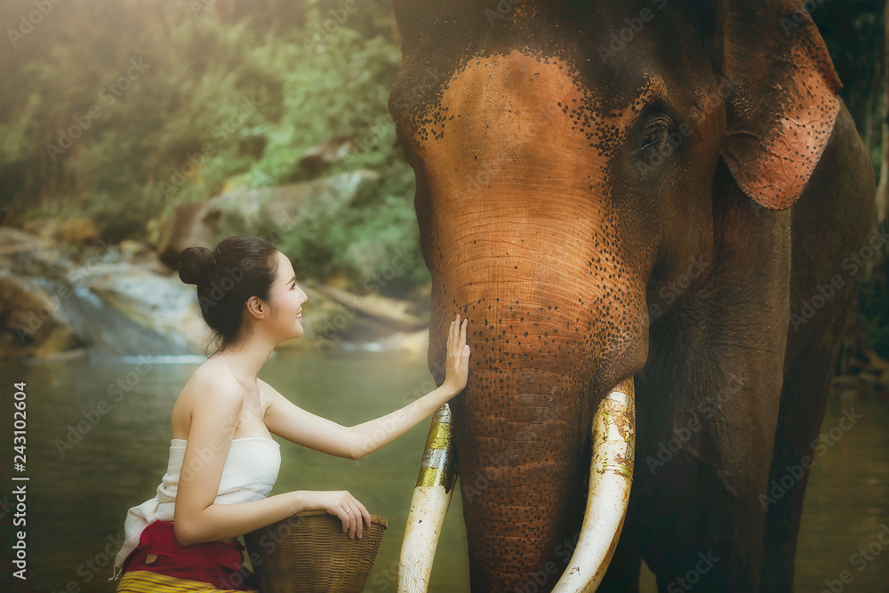 Portrait beautiful asian model with elephant. Nature background