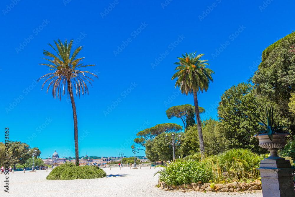 Palm trees on Piazzale Napoleone in Rome, Italy