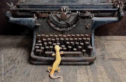 Golden gecko and old typewriter