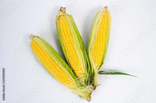 isolated corn background