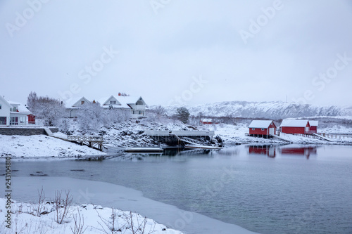 A winter day with snow in Brønnøy municipality, Nordland county