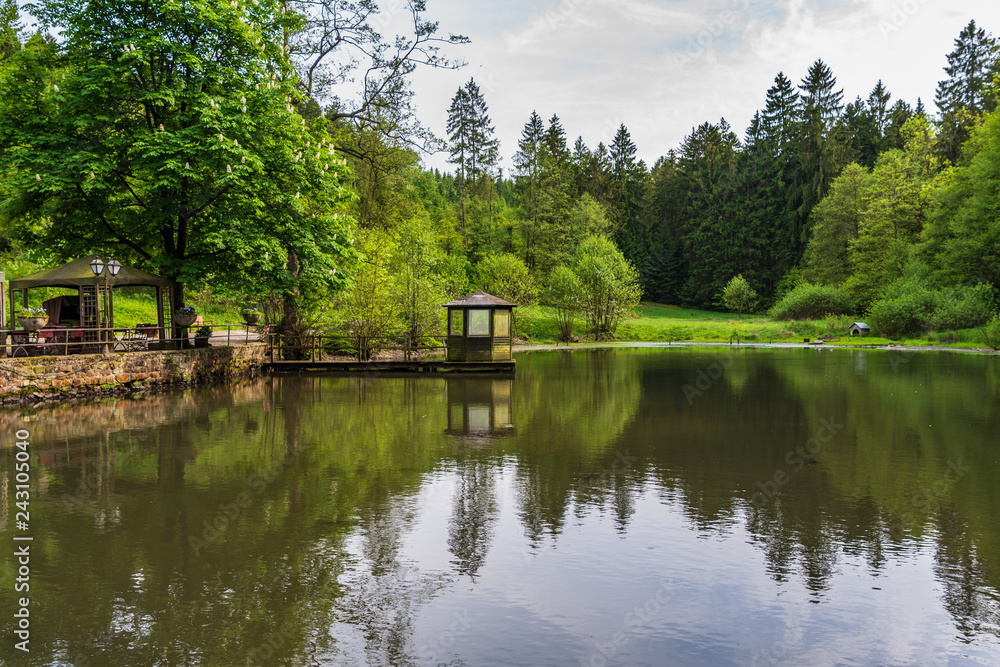 Pond  in Teutoburg Forest nearby Silbermuele, Germany