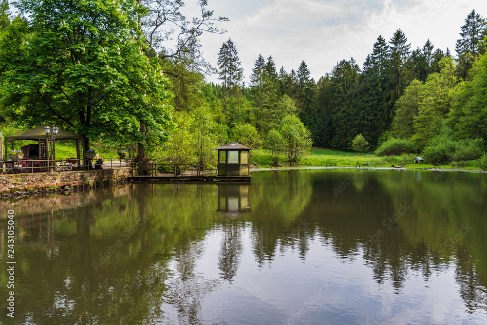 Pond in Teutoburg Forest nearby Silbermuele, Germany Pond in Teutoburg Forest nearby Silbermuele, Germany