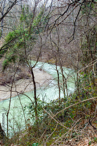 A curve of the Foglia river near Pesaro in the Marche Region of Italy. Green waters are running in the forest photo