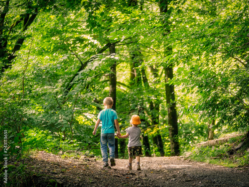 Two boys go along the path in the green forest and hold hands. Two boys go along the path in the green forest and hold hands.