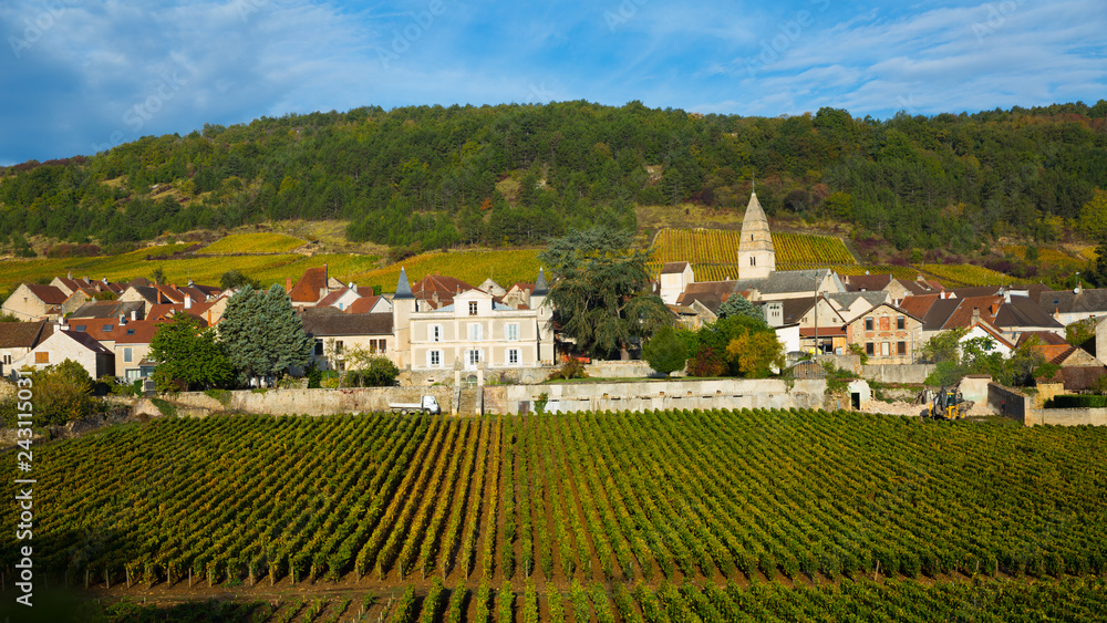 Houses and nature of ancient city Saint-Aubin, Burgundy with vineyards