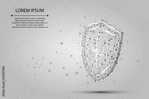 Abstract polygonal Shield and Swords. Low poly wireframe vector illustration. Protect and secure digital concept mash line and point.