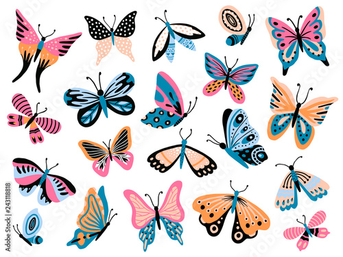Hand drawn butterfly. Flower butterflies, moth wings and spring colorful flying insect isolated vector collection
