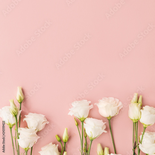Fototapeta Naklejka Na Ścianę i Meble -  White flowers on pink background