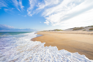 Leinwandbilder Dünen Wellen und Dünen am Ozeanstrand  © Jason