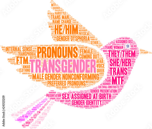 Transgender Word Cloud on a white background. 