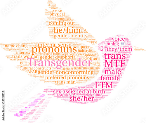 Transgender Word Cloud on a white background. 