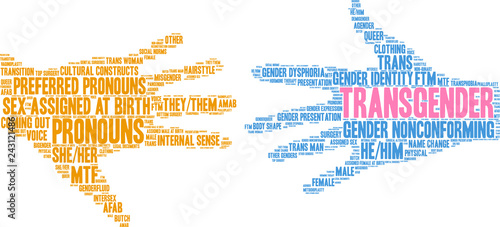 Transgender Word Cloud on a white background. 