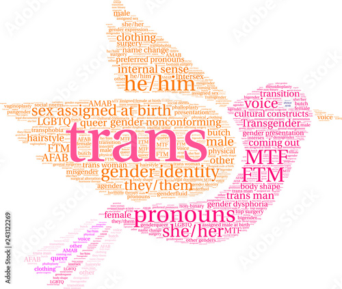 Trans Word Cloud on a white background. 