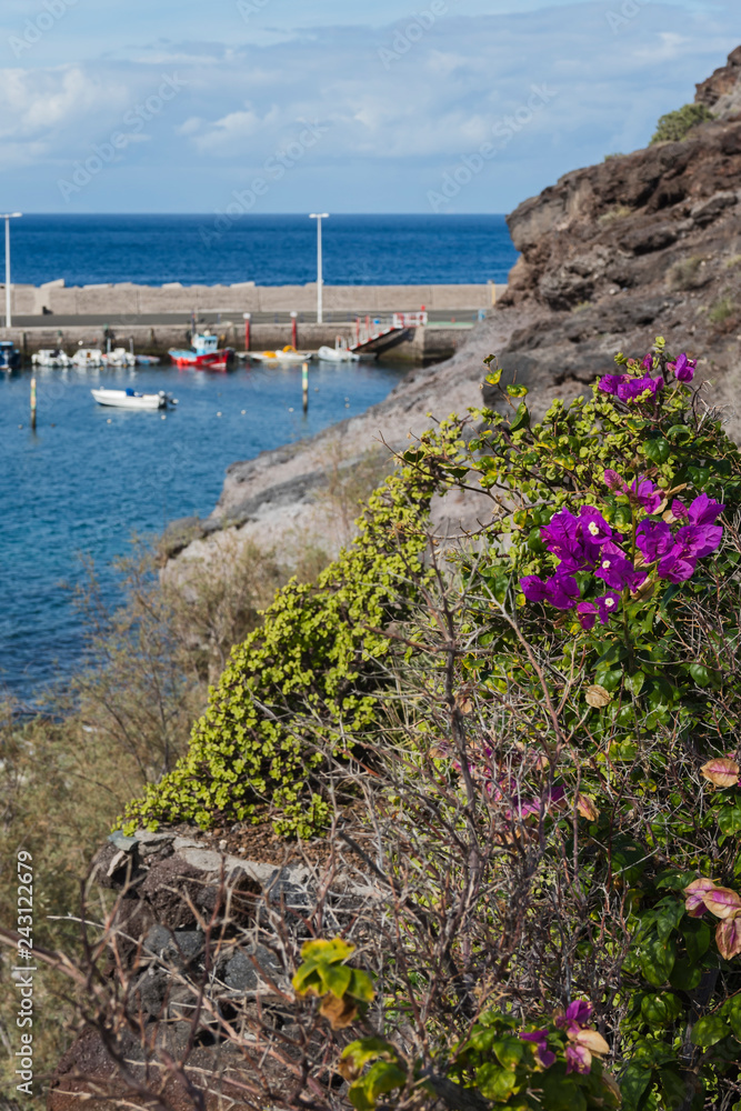 Canary islands gran canaria sunny winter day